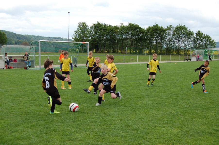 U9 Saison 2013 2014 2